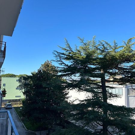 B&B Serangi - Il Piacere Di Sentirsi A Casa Cercola Εξωτερικό φωτογραφία